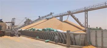   من داخل صومعة الخارجة محافظ الوادي الجديد يتابع انتظام أعمال توريد محصول القمح