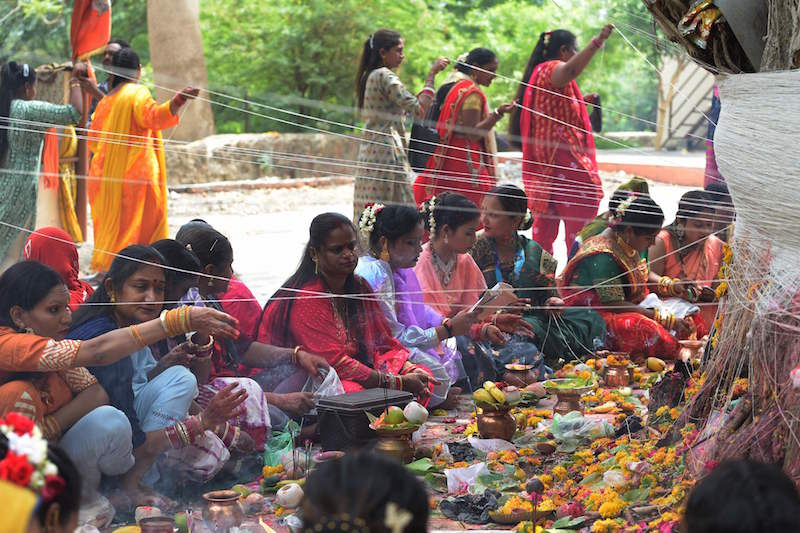 هنديات يطلبن العمر الطويل لأزواجهن من شجرة بانيان المقدسة