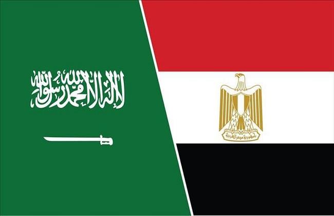 ;كلام في السياسة; يبرز العلاقات المصرية السعودية تاريخ من التعاون والإخاء| فيديو;