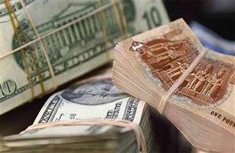   سعر الدولار في مصر خلال التعاملات المسائية