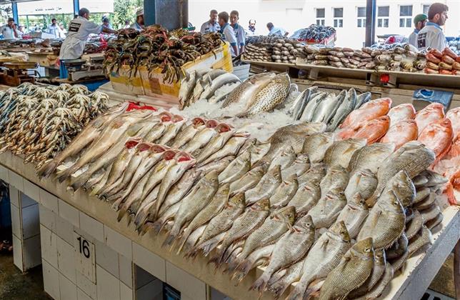 أسعار الأسماك في السوق اليوم الجمعة الأول من يوليو 