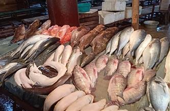   أسعار الأسماك في السوق اليوم الجمعة  مارس   