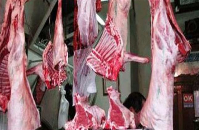 محافظة بورسعيد تتحول لمركز توزيع اللحوم للمحافظات المجاورة| فيديو