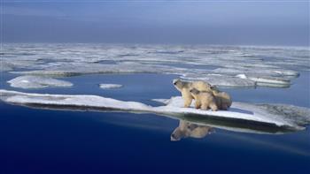 دراسة ذوبان الجليد البحري الناجم عن تغير المناخ يجعل المحيط الشمالي أكثر حمضية